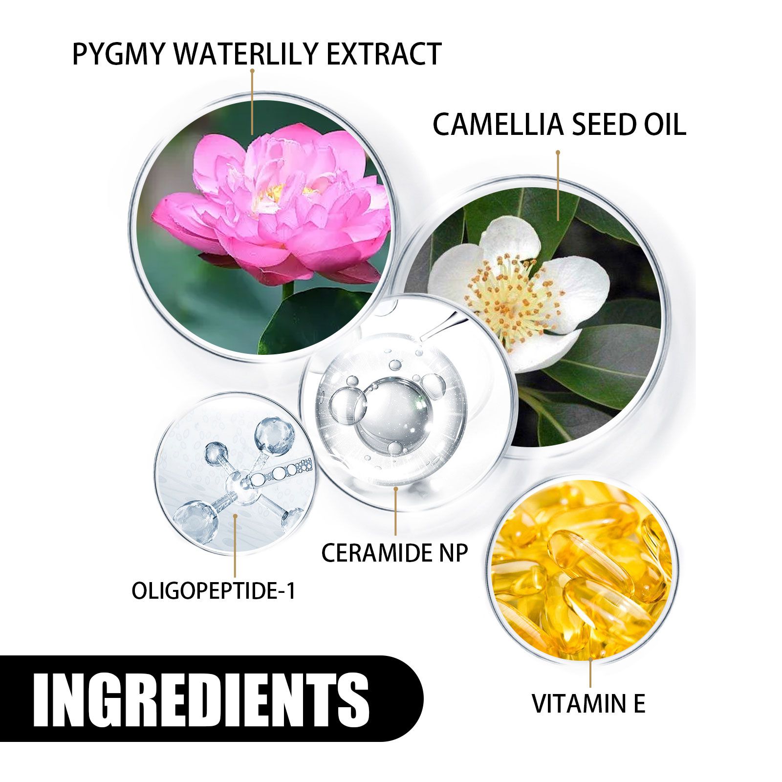 Hydrating & Brightening Face Moisturizer Cream