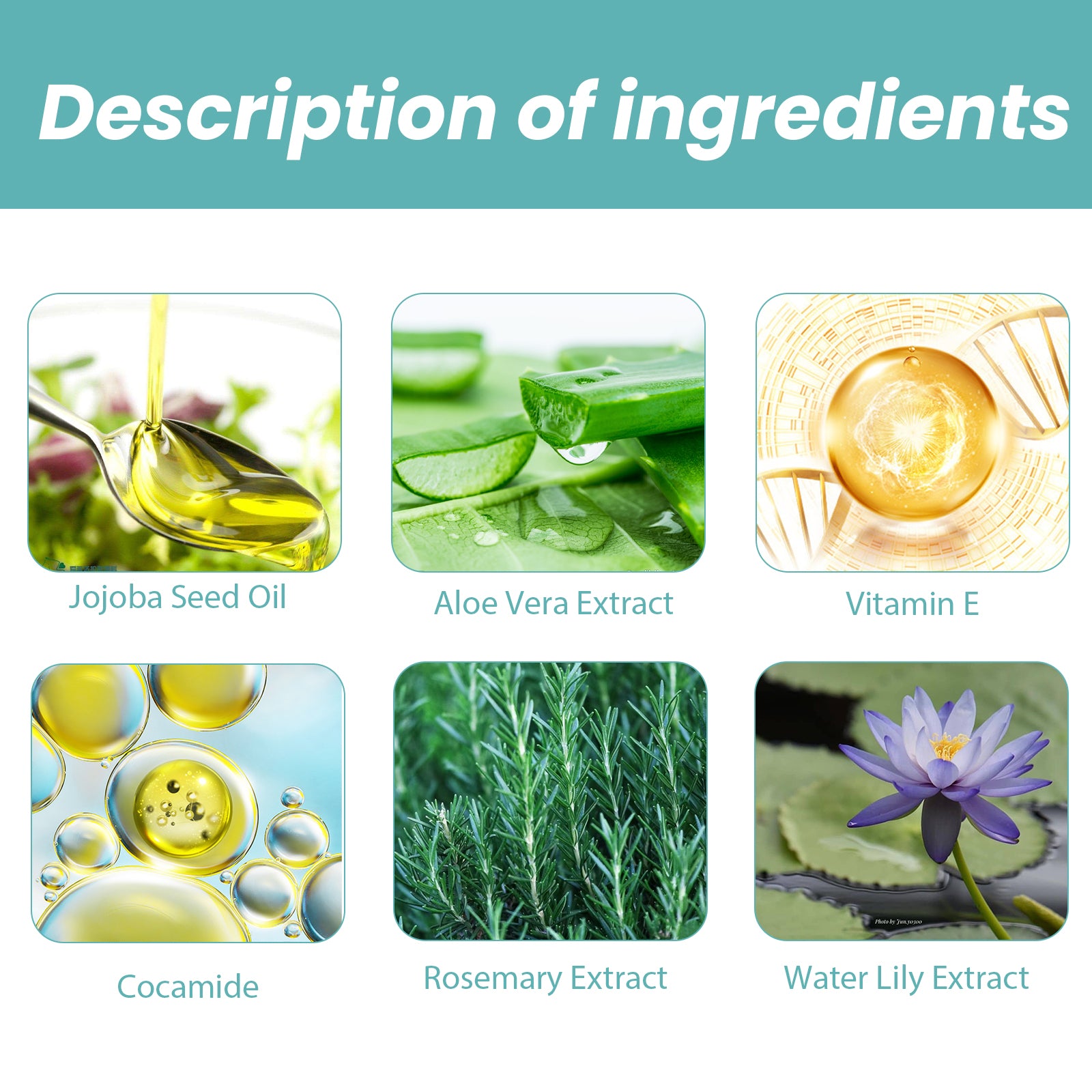 Hydrating Shower Oil – Body Cleansing & Skin Moisturizing
